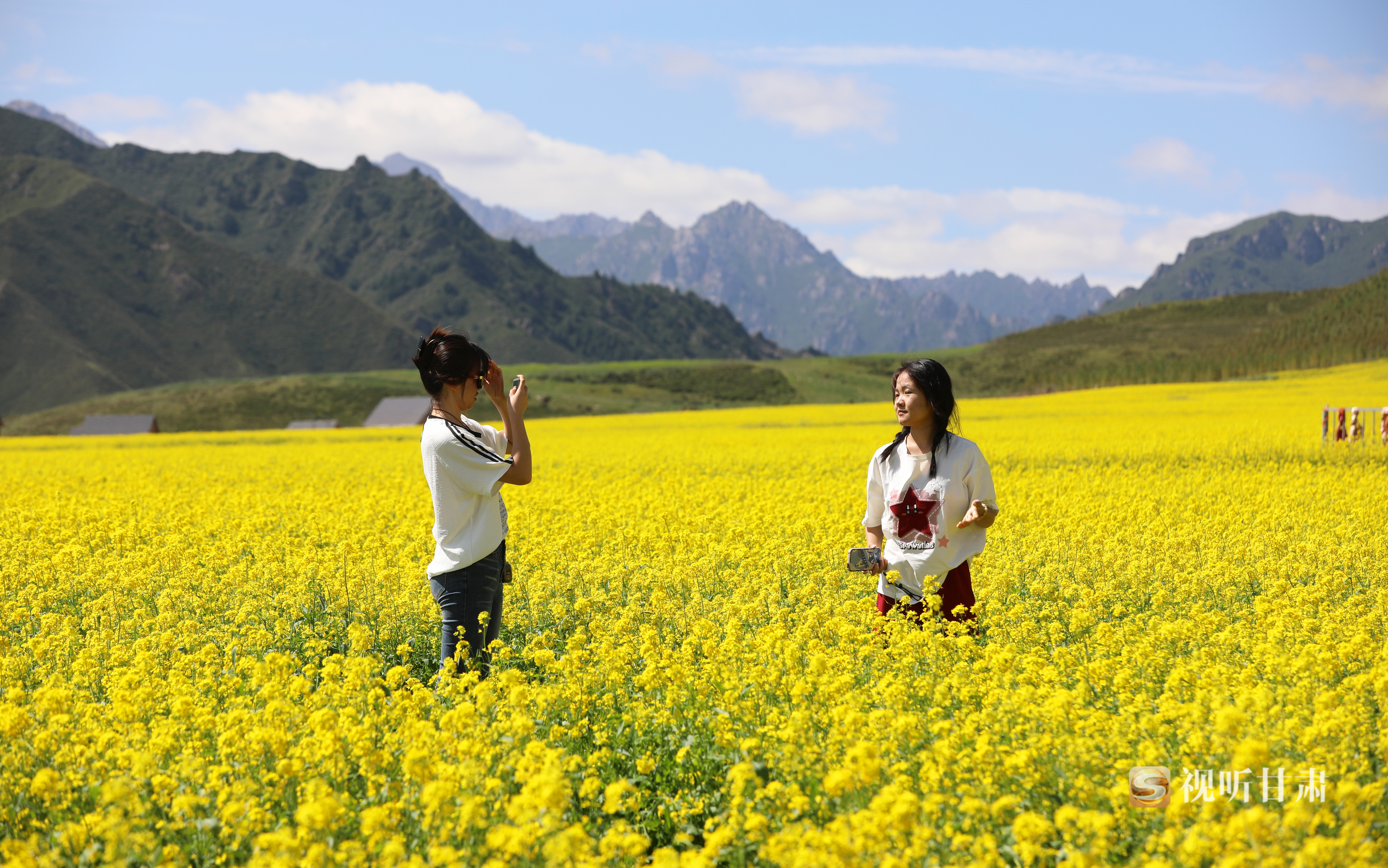 2024年7月15日,位于祁连山下的甘肃省张掖市民乐县扁都口休闲旅游景区