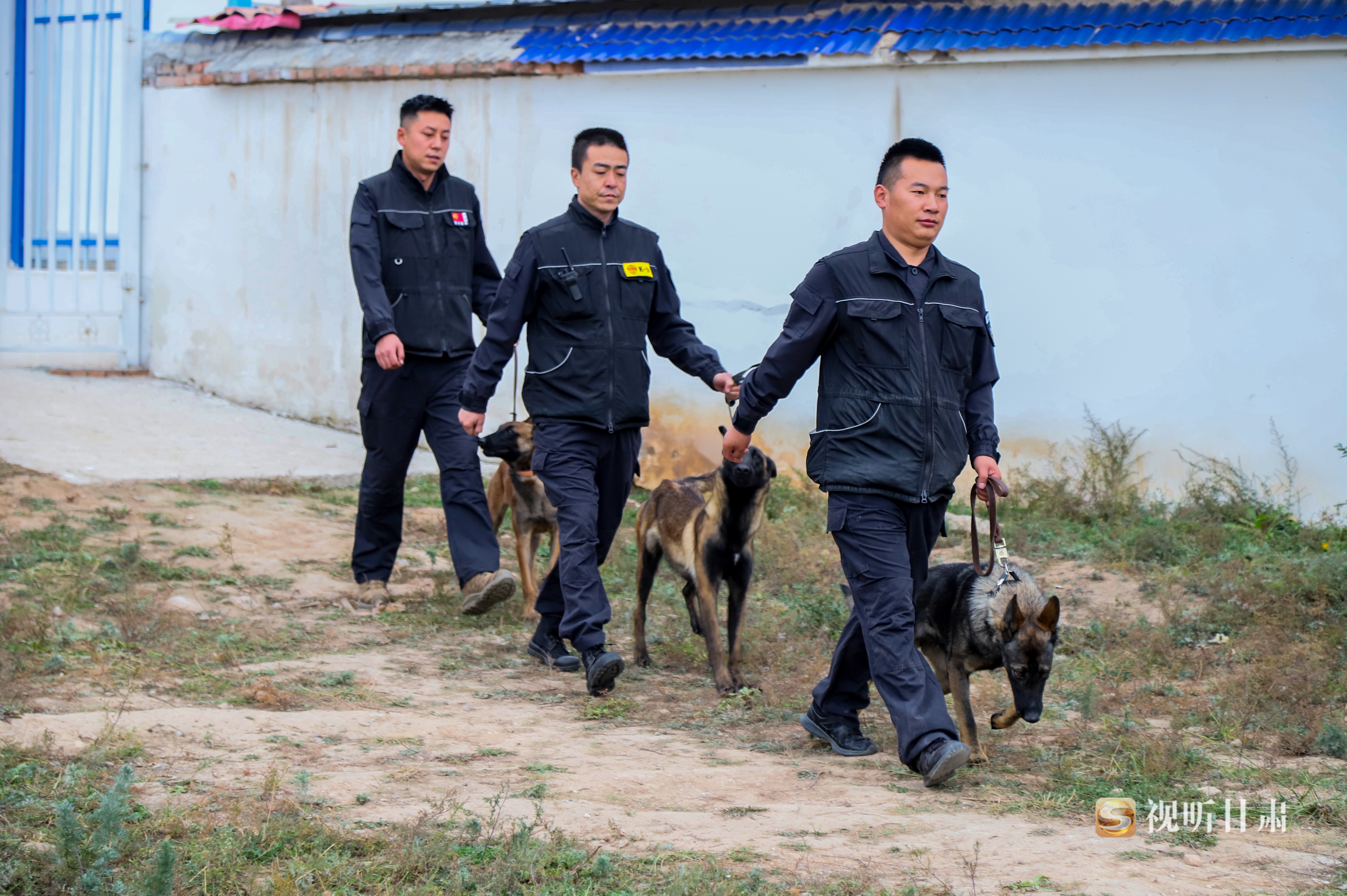 平凉崆峒:警犬技术大练兵 神犬奇兵保安宁